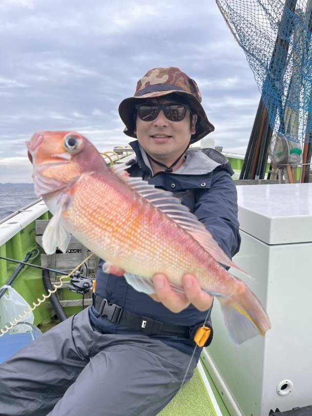 アマダイ(アカアマダイ)