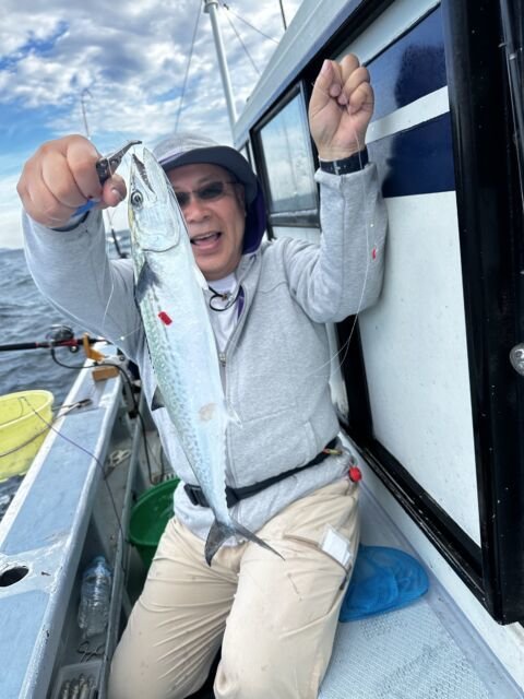 サゴシ(サワラ)