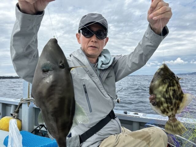 カワハギ・ウマヅラ(ウマヅラハギ)