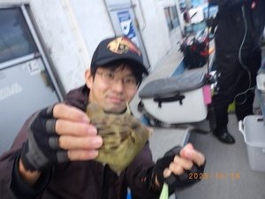 カワハギ