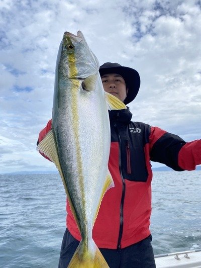 ハマチ(ブリ)
