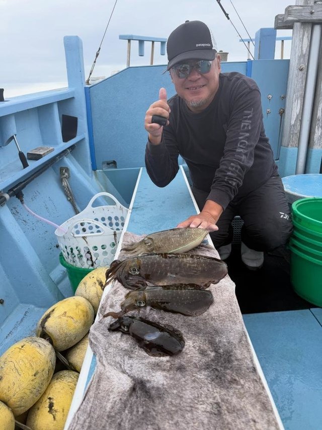 アオリイカ・モンゴウ(カミナリイカ)