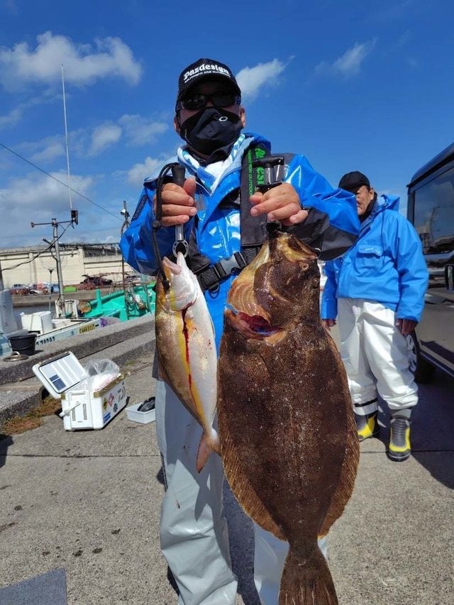 シオ(カンパチ)・ヒラメ