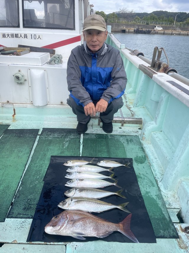 マダイ・マアジ・マサバ