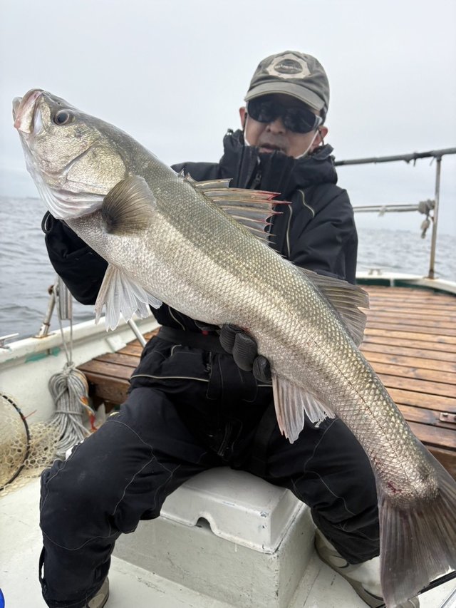 シーバス(スズキ)