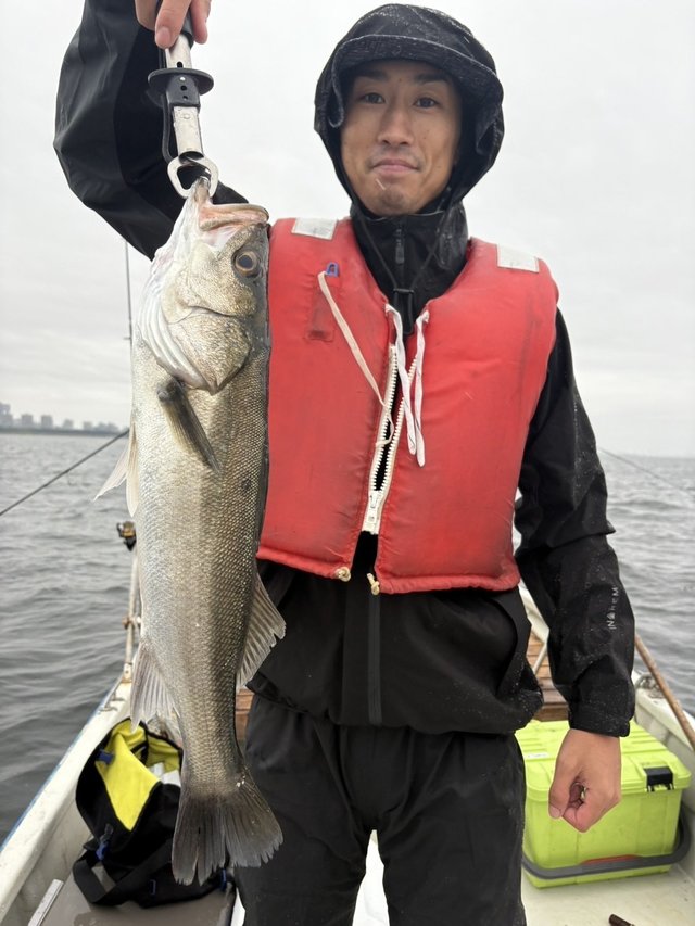 シーバス(スズキ)