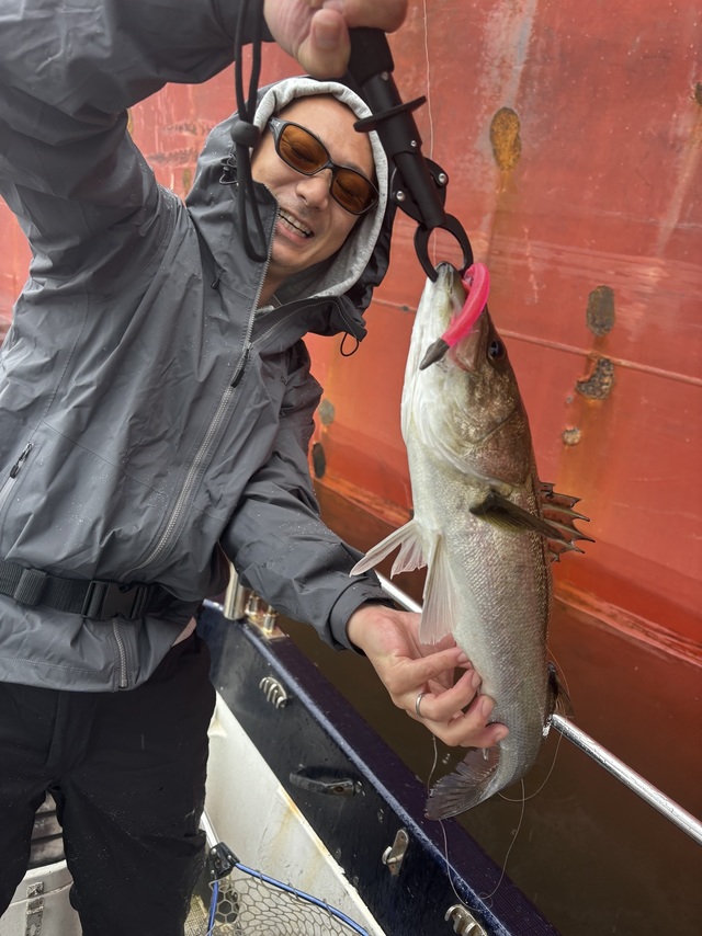 シーバス(スズキ)