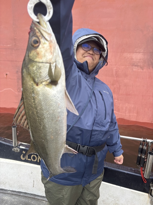 シーバス(スズキ)