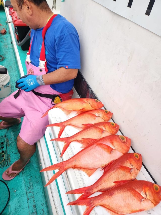 キンメ(キンメダイ)