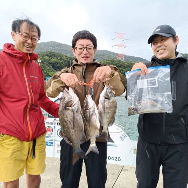 チヌ(クロダイ)