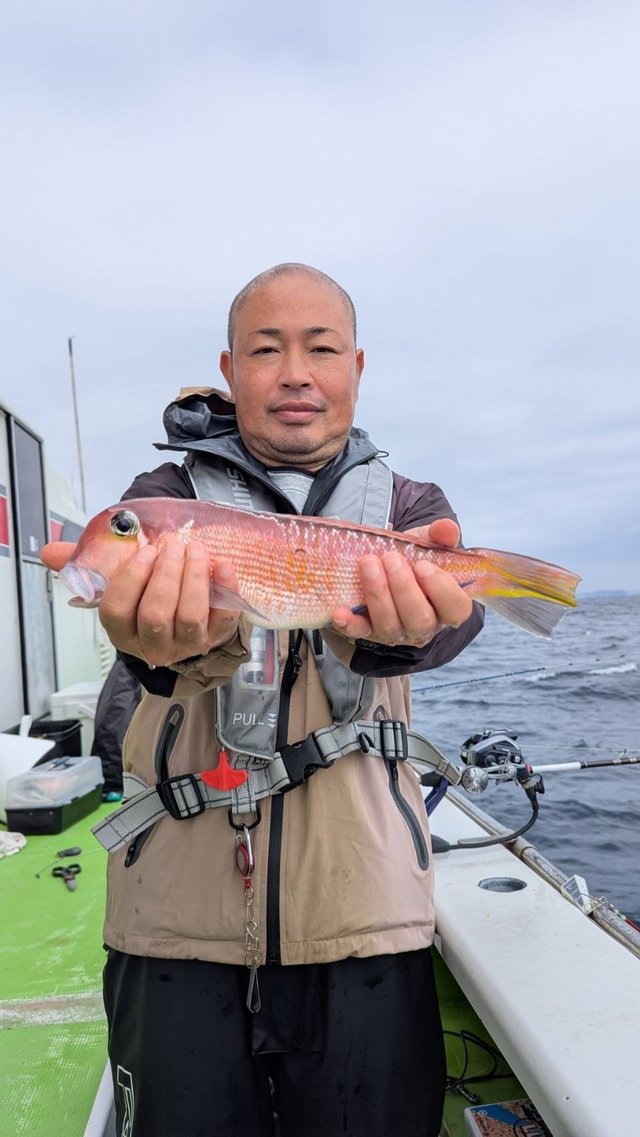 アマダイ(アカアマダイ)