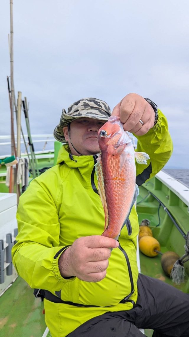 アマダイ(アカアマダイ)