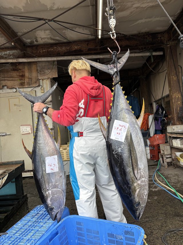 キハダ・キメジ(キハダ)