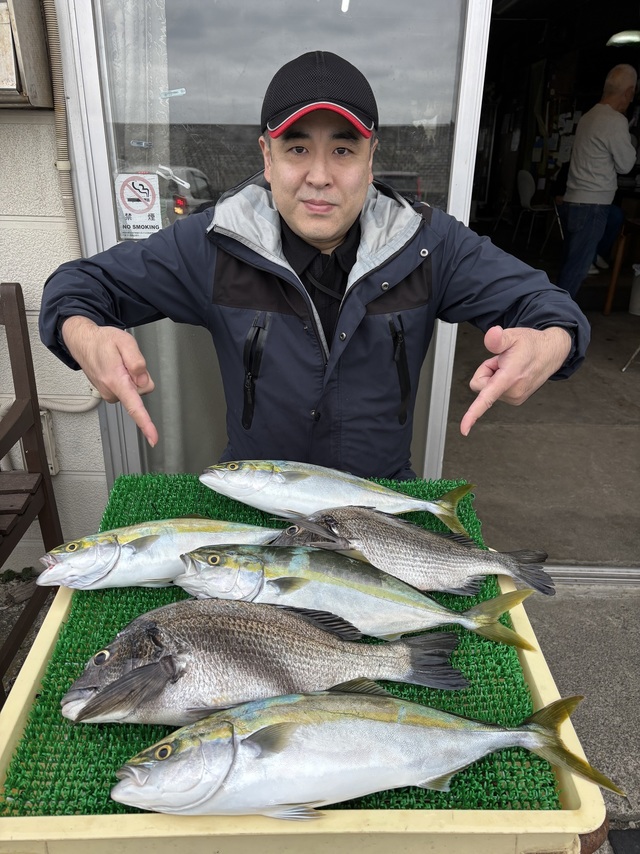 クロダイ・イナダ(ブリ)