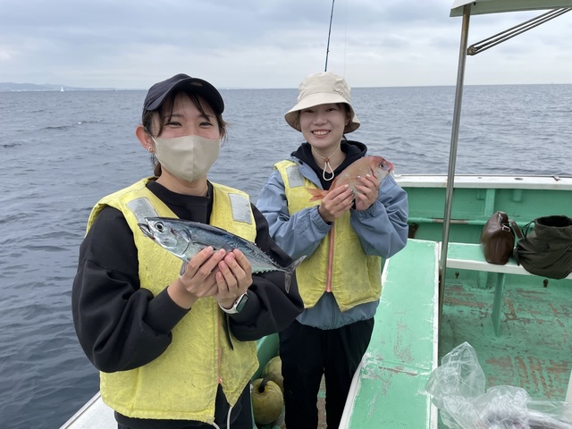 ハナダイ(チダイ)