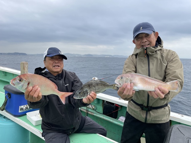 ハナダイ(チダイ)