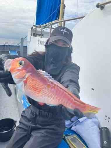 アマダイ(アカアマダイ)