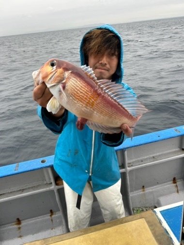 アマダイ(アカアマダイ)