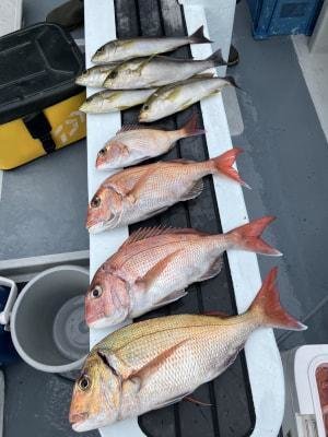 マダイ・ハナダイ(チダイ)・イサキ