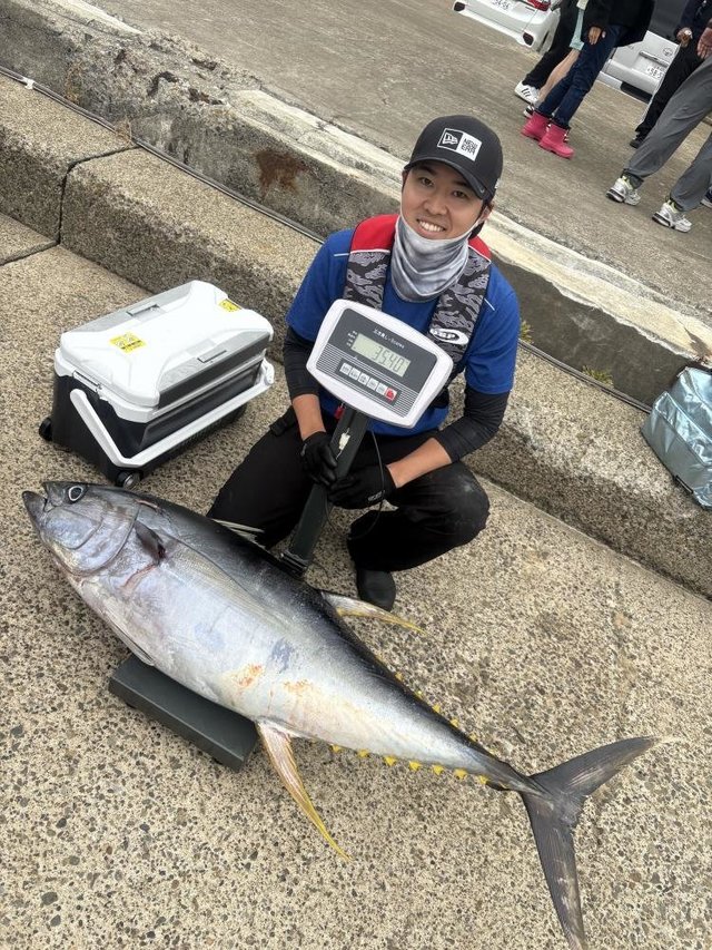 キハダマグロ(キハダ)