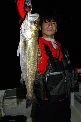 シーバス(スズキ)