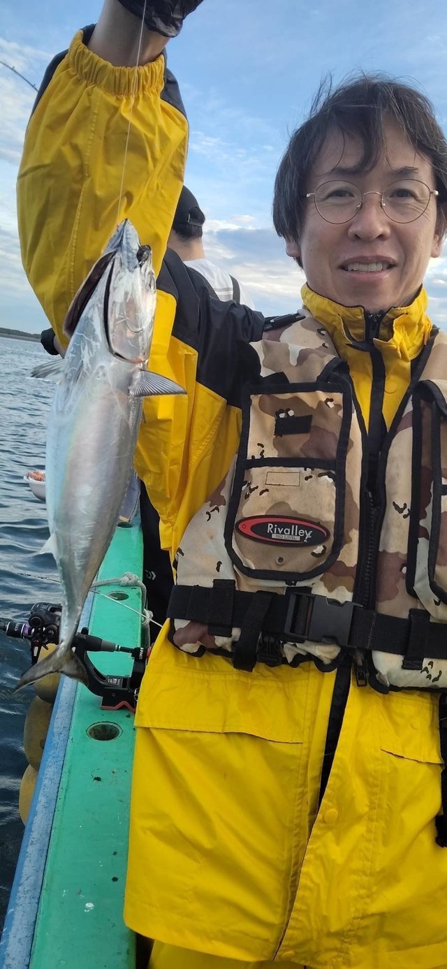 ヒラソーダ(ヒラソウダ)