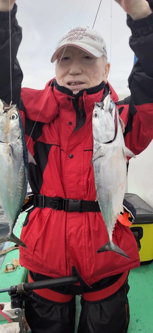 ヒラソーダ(ヒラソウダ)