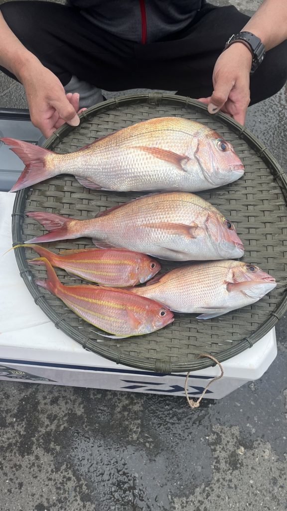 タイ(マダイ)・イトヨリ(イトヨリダイ)