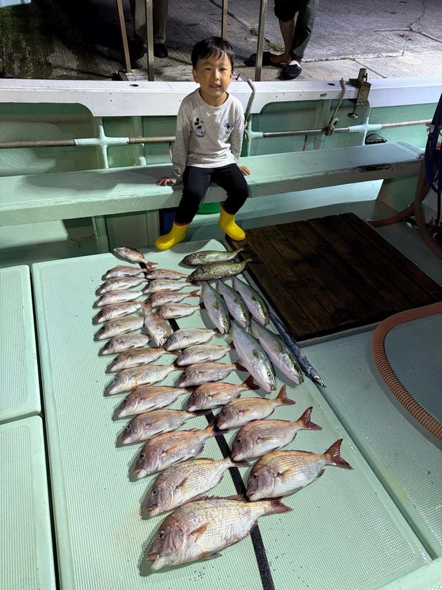 マダイ・ハマチ(ブリ)・タチウオ・アイゴ