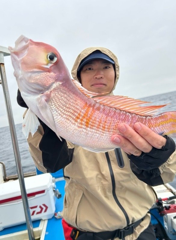 アマダイ(アカアマダイ)