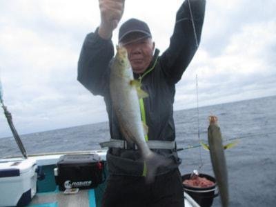 イサギ(イサキ)