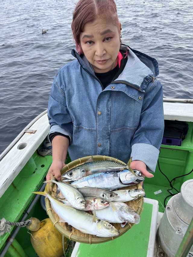 アジ(マアジ)・サバ(マサバ)