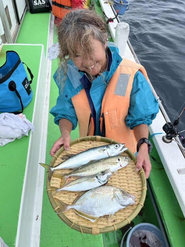 アジ(マアジ)・サバ(マサバ)