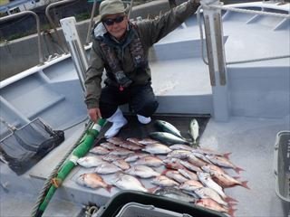 マダイ・クロダイ