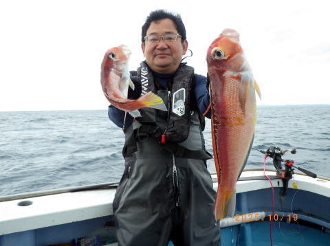 アマダイ(アカアマダイ)