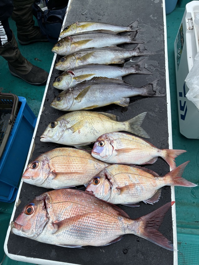 マダイ・チダイ・メイチダイ