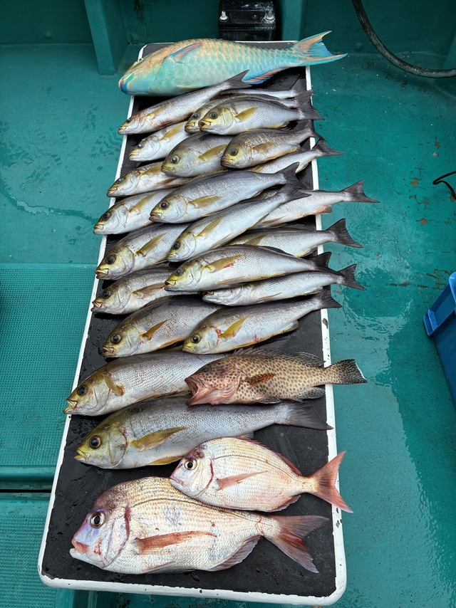 マダイ・チダイ・メイチダイ