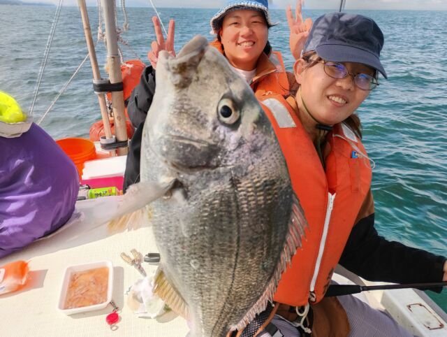 キビレ(キチヌ)