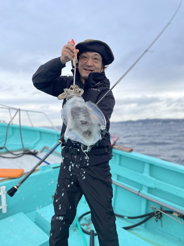 アオリ(アオリイカ)