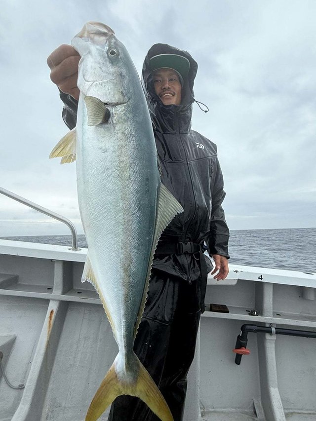 サンパク(ブリ)