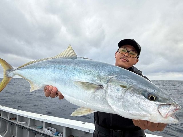 サンパク(ブリ)