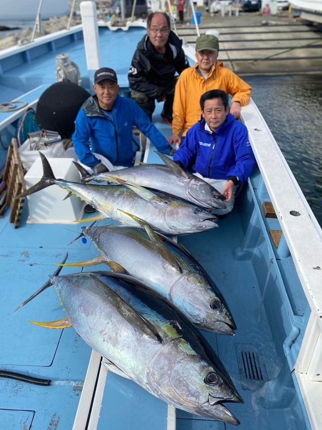 キハダマグロ(キハダ)