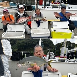 マダイ・シマアジ・イサキ・アカセムロ(ムロアジ)