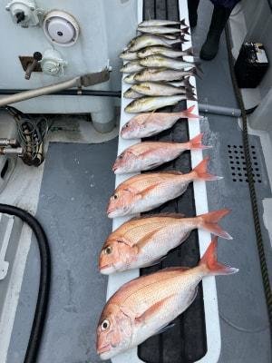 マダイ・イサキ