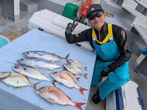 マダイ・カイワリ・ホンカツオ(カツオ)・サバ(ゴマサバ)
