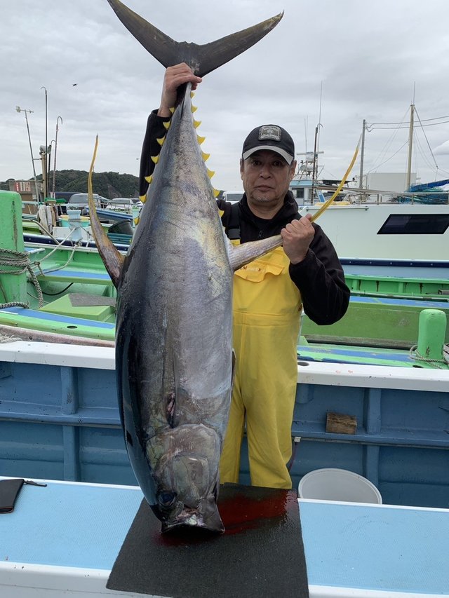 キハダマグロ(キハダ)