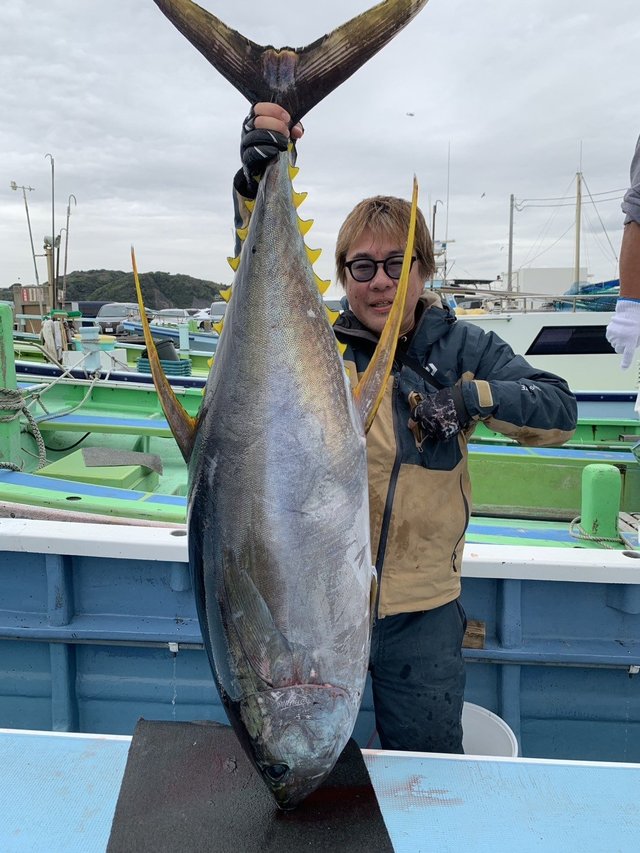 キハダマグロ(キハダ)