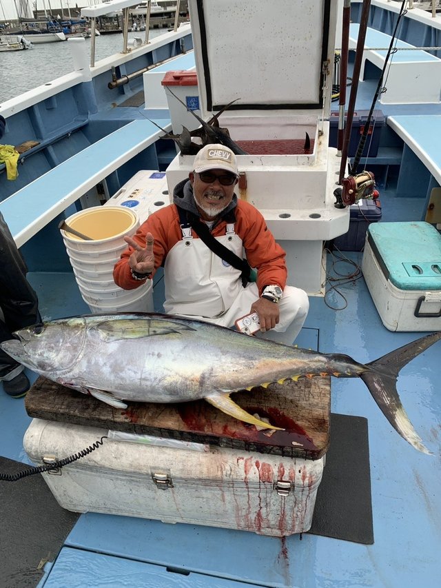 キハダマグロ(キハダ)