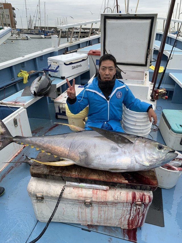 キハダマグロ(キハダ)