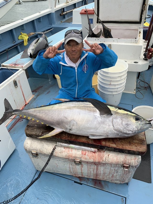 キハダマグロ(キハダ)